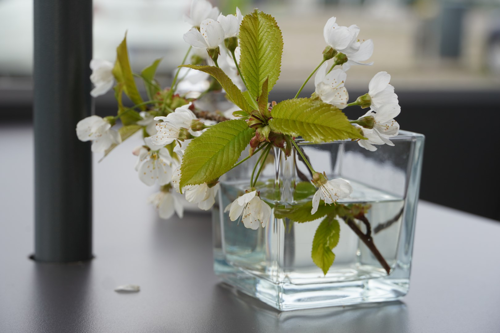 Galerie - Café Milch & Zucker