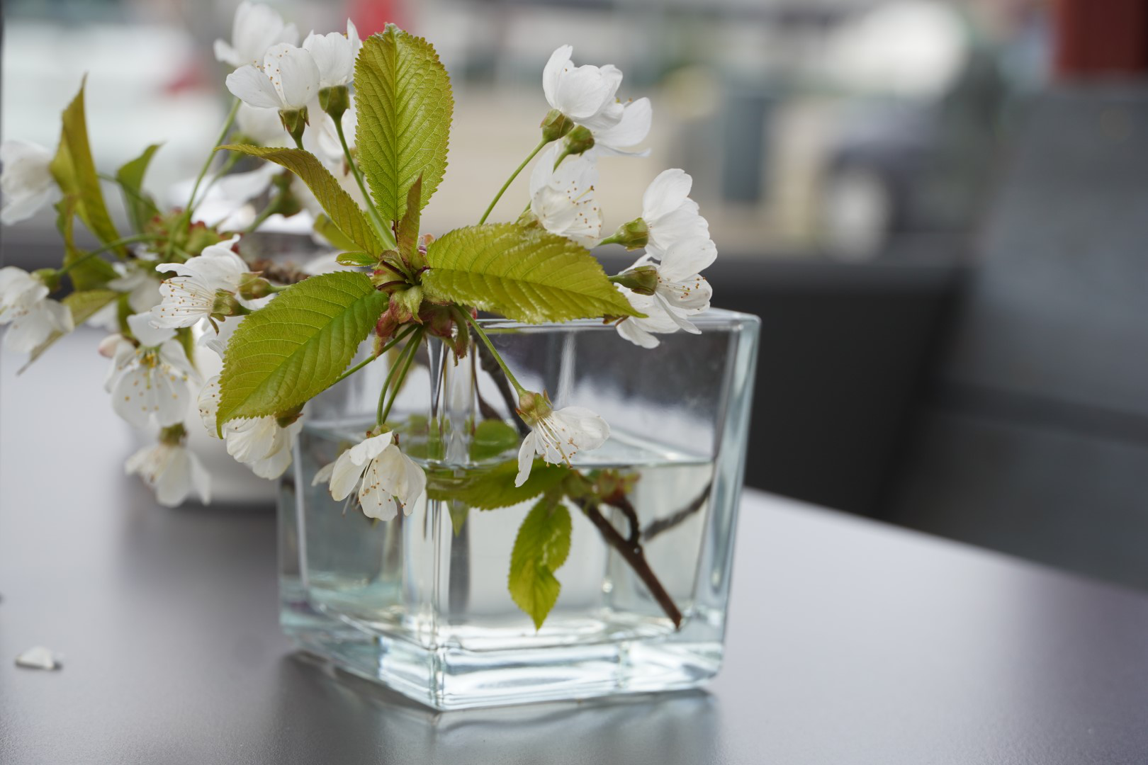 Galerie - Café Milch & Zucker