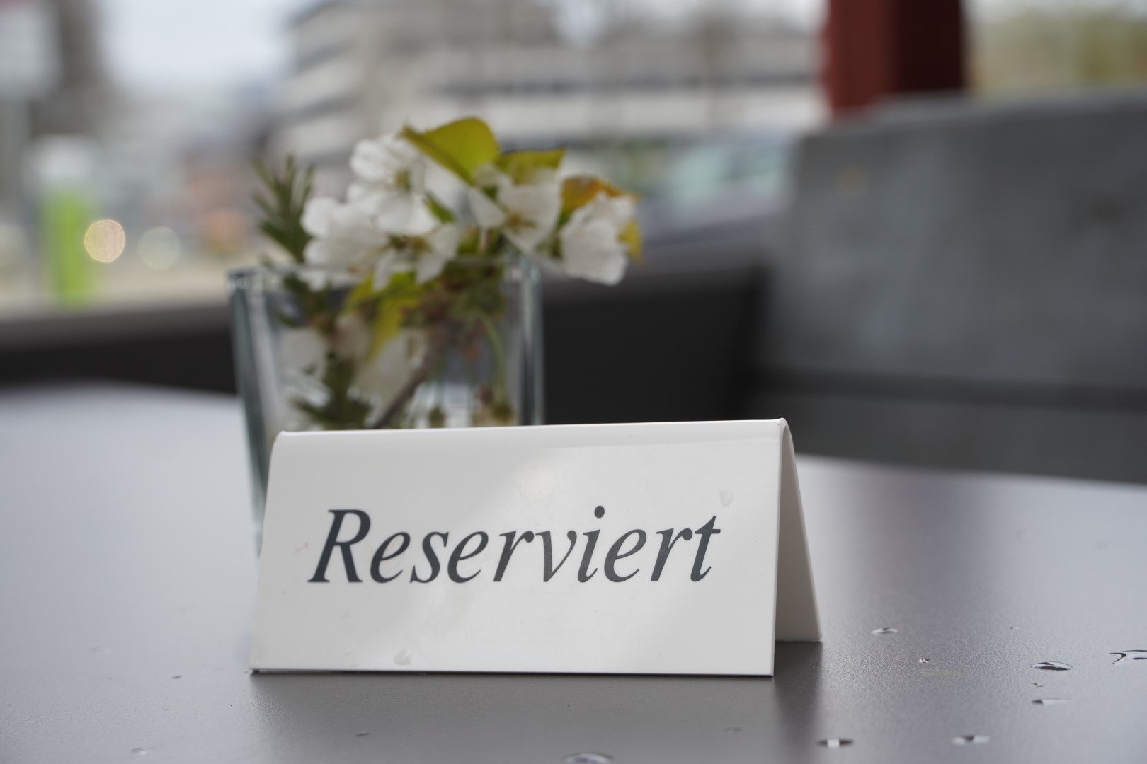 Galerie - Café Milch & Zucker